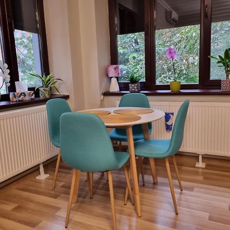 City Inn Premium Apartment 蒂米什瓦拉 外观 照片