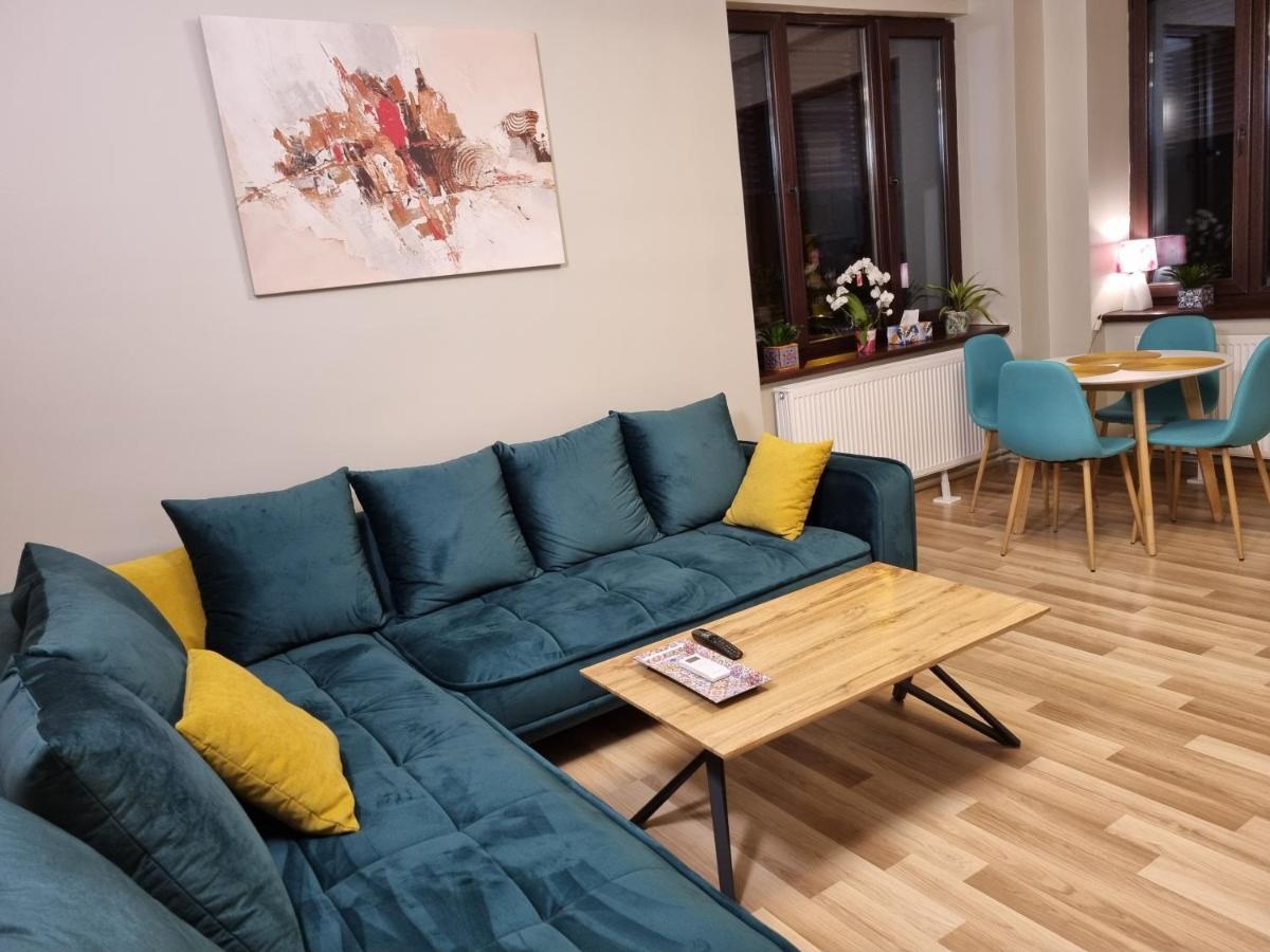 City Inn Premium Apartment 蒂米什瓦拉 外观 照片