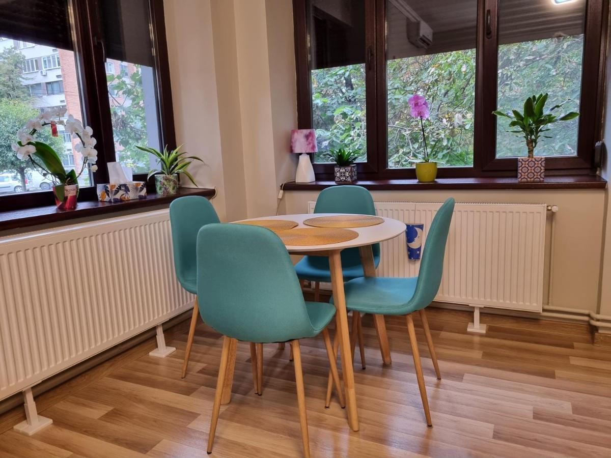 City Inn Premium Apartment 蒂米什瓦拉 外观 照片