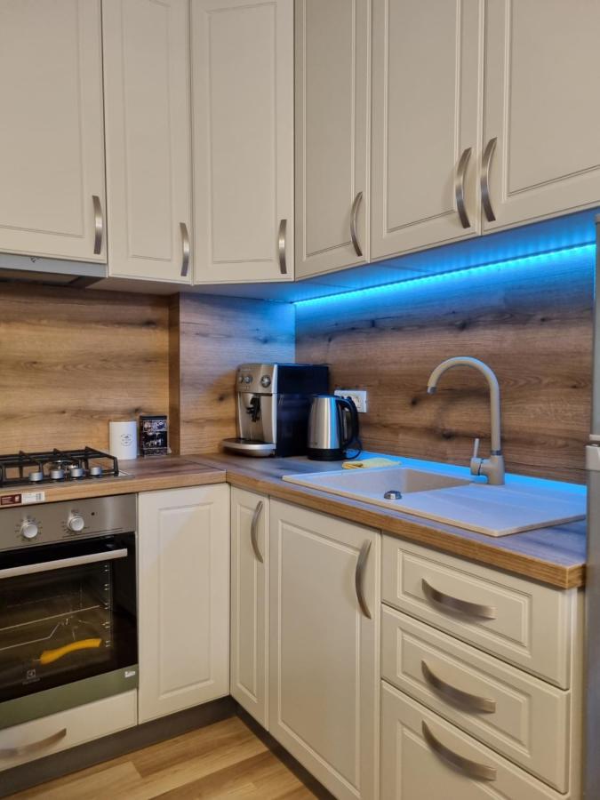 City Inn Premium Apartment 蒂米什瓦拉 外观 照片