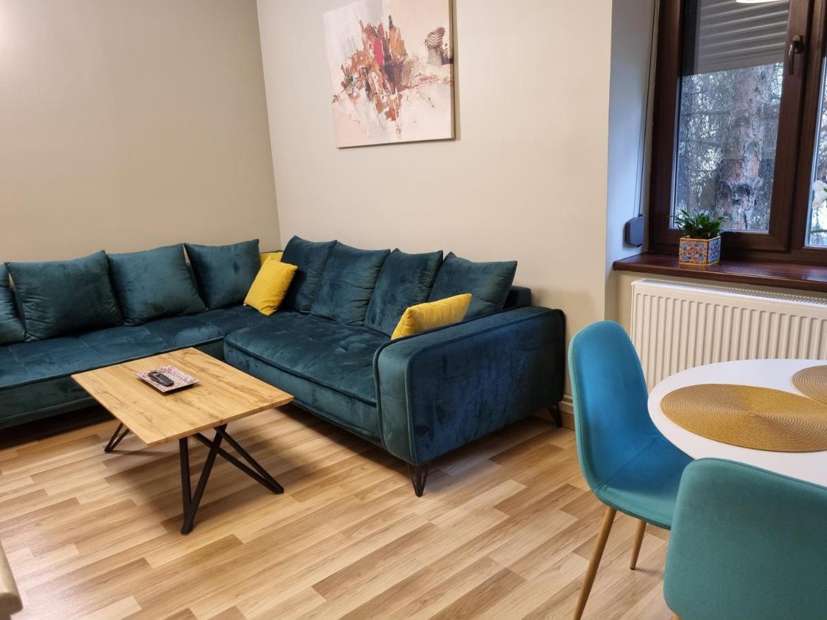 City Inn Premium Apartment 蒂米什瓦拉 外观 照片